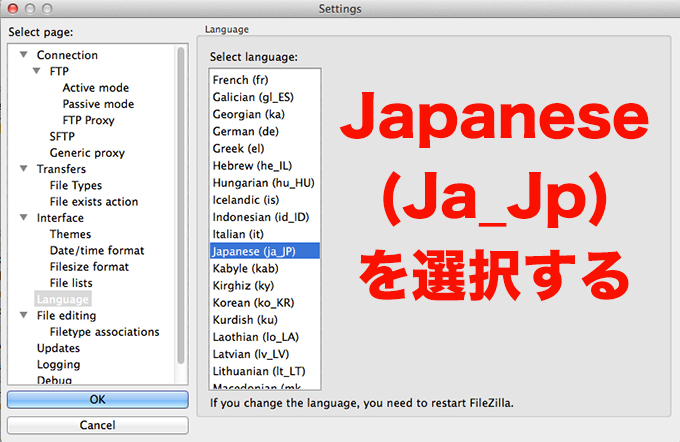 日本語化